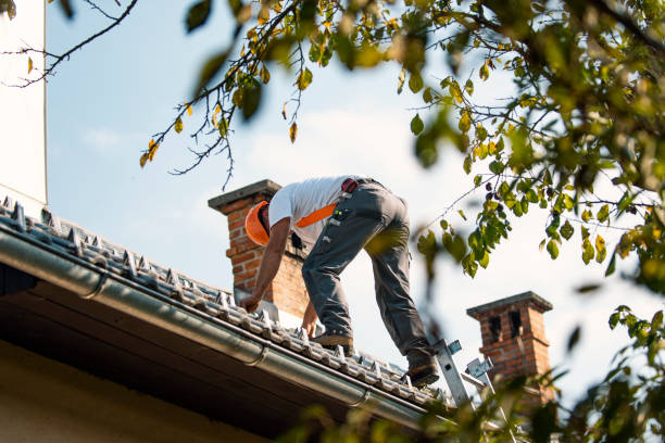 Professional Roofing Contractor in Belmont, CA
