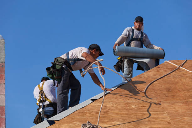 Best Sealant for Roof  in Belmont, CA